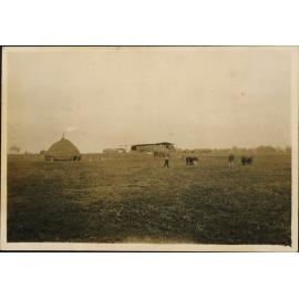 Beehive haystack (Roseworthy College, South Australia)