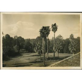 Fairy Circle from the Administration Building [Hawkesbury Agricultural College (HAC)]