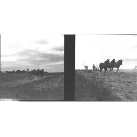 Student ploughing a paddock with a three-horse team [Hawkesbury Agricultural College (HAC)]