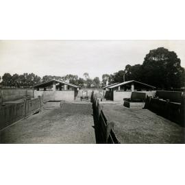 Concrete pig pens [Hawkesbury Agricultural College (HAC)]