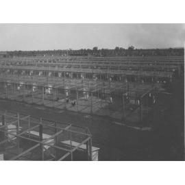 Poultry - Competition pens [Hawkesbury Agricultural College (HAC)]