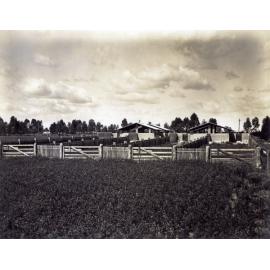 Piggery - the concrete pens [Hawkesbury Agricultural College (HAC)]