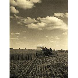 Reaper and binder drawn by a three-horse team [Hawkesbury Agricultural College (HAC)]