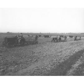 Tractors and horse teams working in the fields [Hawkesbury Agricultural College (HAC)]