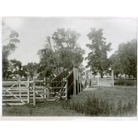 Sheep dip [Hawkesbury Agricultural College (HAC)]