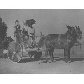 College Procession - The Sheik of Yarramundi [Hawkesbury Agricultural College (HAC)]