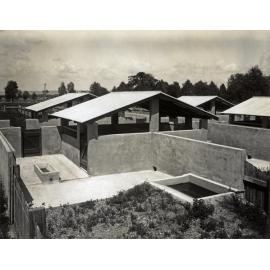 Piggery - Pigsties and concrete pens [Hawkesbury Agricultural College (HAC)]