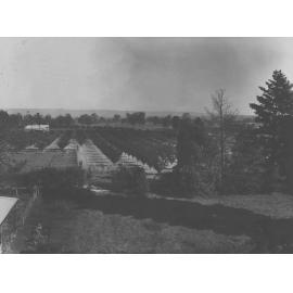 Looking towards the Packing Shed from Main Building [Hawkesbury Agricultural College (HAC)]