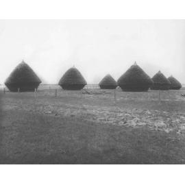 Beehive hay stacks (six in total) [Hawkesbury Agricultural College (HAC)]