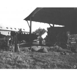 Students (under instruction) chaffing hay using a tractor for power [Hawkesbury Agricultural College (HAC)]