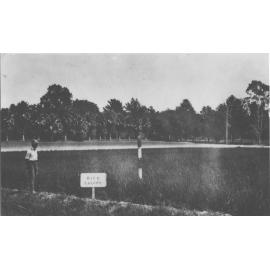 Experimental Plots: Experimentalist John L Green standing in front of the first rice (caloro variety) crop at the College HAC [Hawkesbury Agricultural College (HAC)]