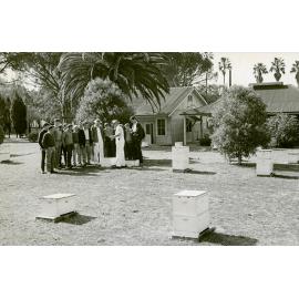 Apiary Class - Students young so probably Diploma students - People on left [Hawkesbury Agricultural College (HAC)]