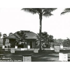 Apiary and hives [Hawkesbury Agricultural College (HAC)]