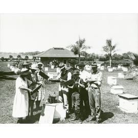 Apiary students examining honeycomb frames [Hawkesbury Agricultural College (HAC)] - Print 2 of 2 - Cropped