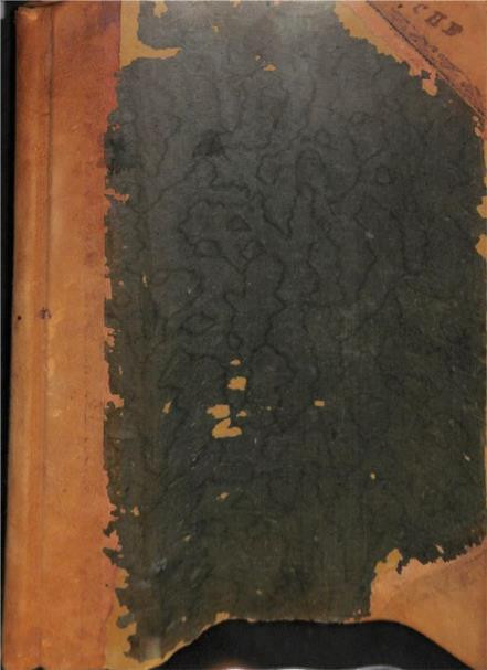 Charles Beeson Collection